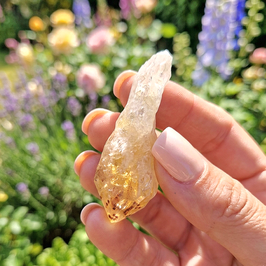 Citrine - Raw